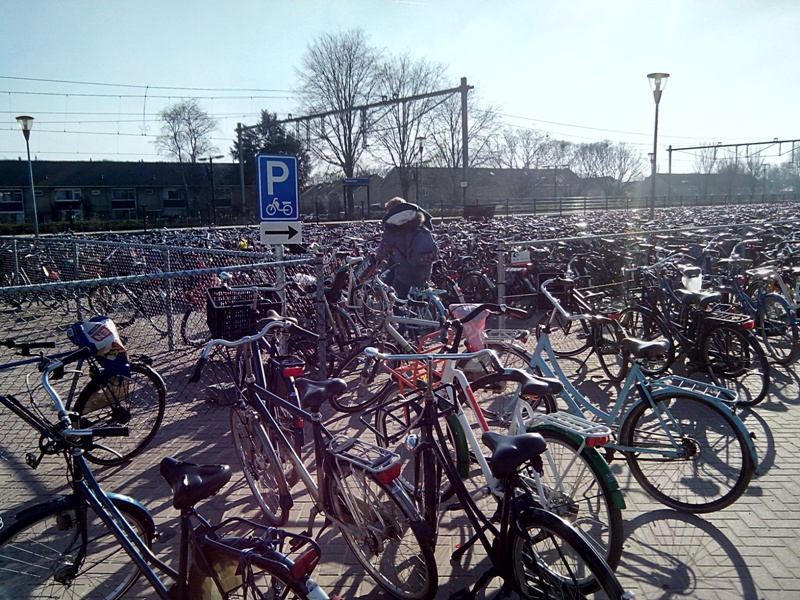 Fietsparkeren Station Harderwijk3