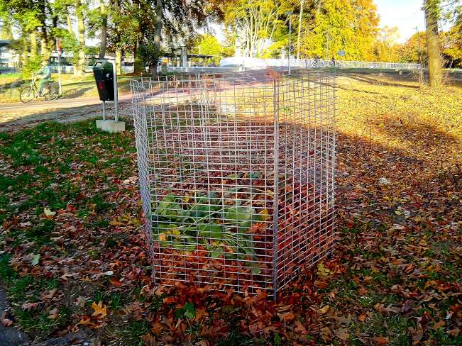 bladkorf Harderwijk Herfstbladeren verzamelen